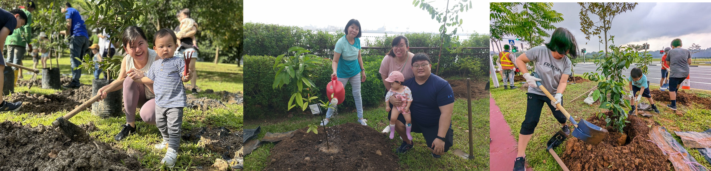 OMT tree planting sessions with the community